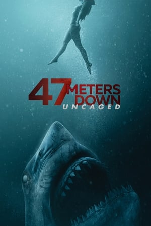47 Meters Down: Uncaged (2019) Hindi Dual Audio 400MB