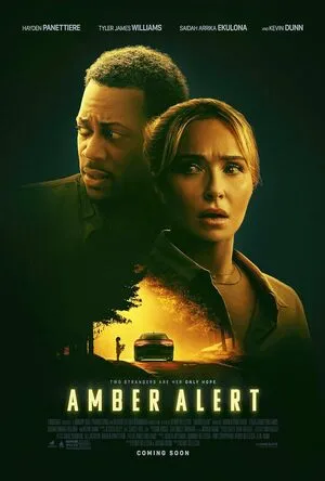 Amber Alert 2024 Hindi Dual Audio HD Poster Download - filmyfly
