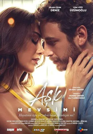 Season Of Love 2024 Hindi Dual Audio HD Poster Download - filmyfly