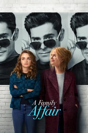 A Family Affair 2024 Hindi Dual Audio – 720p – HD Poster Download - filmyfly
