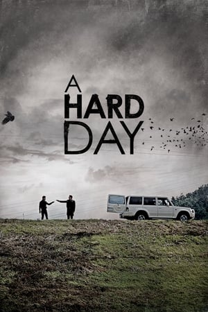 A Hard Day (2014) Hindi Dual Audio 400MB HD Poster Download - filmyfly