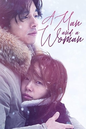 A Man and A Woman (2016) Hindi Dual Audio [950MB] HD Poster Download - filmyfly