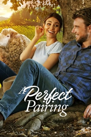 A Perfect Pairing (2022) Hindi Dual Audio –