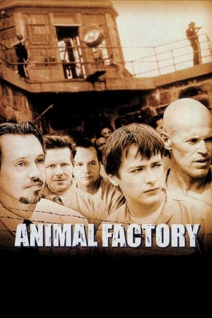 Animal Factory (2000) Hindi Dual Audio 300MB HD Poster Download - filmyfly