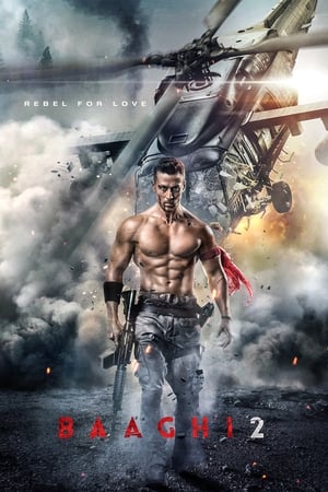 Baaghi 2 2018 Movie [700MB]