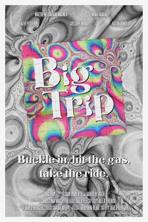 Big Trip (2024) Hindi (MULTI AUDIO) – –
