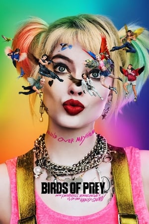 Birds of Prey (2020) Hindi (ORG) Dual Audio [1.1GB] HD Poster Download - filmyfly