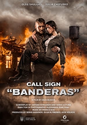 Call Sign Banderas (2018) Hindi Dual Audio – HD Poster Download - filmyfly