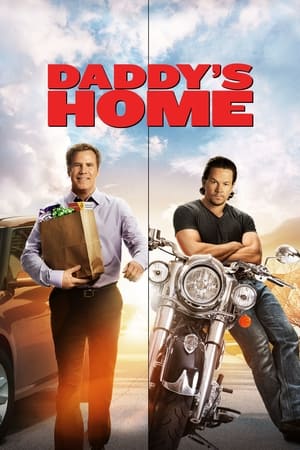 Daddy's Home (2015) Hindi Dual Audio 300MB