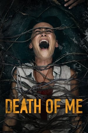 Death of Me (2020) Hindi Dual Audio [900MB] HD Poster Download - filmyfly