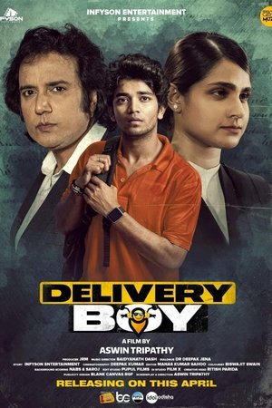 Delivery Boy 2 (2025) Hindi (MULTI AUDIO) – –