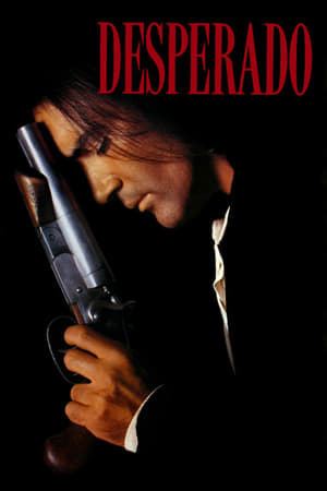 Desperado 1995 Hindi Dual Audio 300MB