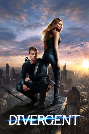 Divergent (2014) Hindi Dual Audio [1.3GB] HD Poster Download - filmyfly