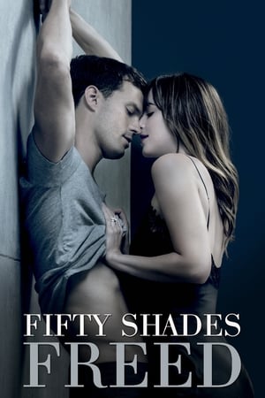 Fifty Shades Freed (2018) Hindi Dual Audio 400MB HD Poster Download - filmyfly