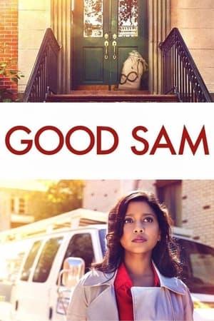 Good Sam 2019 Hindi Dual Audio 300MB HD Poster Download - filmyfly