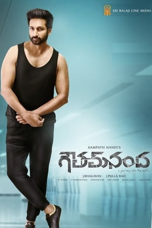 Goutham Nanda (2017) (Hindi – Telugu) Dual Audio – HD Poster Download - filmyfly