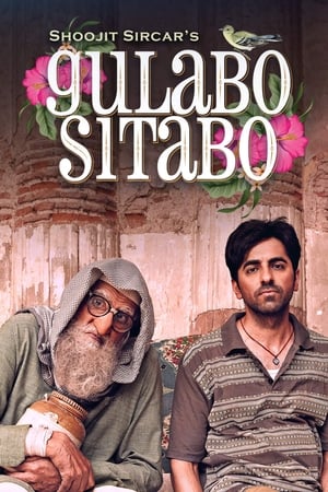 Gulabo Sitabo 2020 Hindi Movie - [360MB]