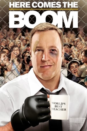 Here Comes the Boom 2012 Hindi Dual Audio – HD Poster Download - filmyfly