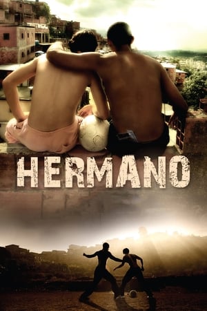 Hermano 2010 Hindi Dual Audio 300MB HD Poster Download - filmyfly