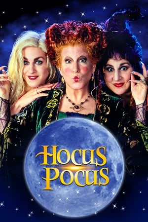 Hocus Pocus 1993 Hindi Dual Audio [850MB]
