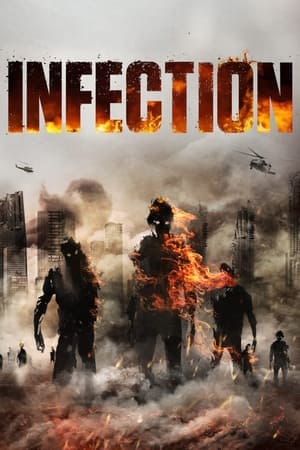 Infection (2019) Hindi Dual Audio [1GB]