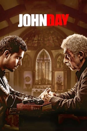 John Day (2013) Hindi Movie [1GB] HD Poster Download - filmyfly