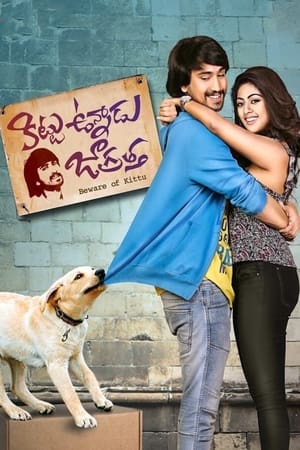 Kittu Unnadu Jagratha 2017 Hindi Dual Audio 400MB HD Poster Download - filmyfly