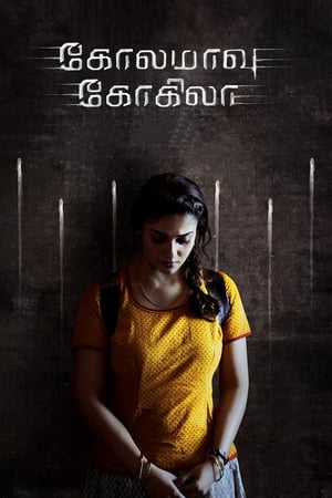 Kolamavu Kokila (2018) Hindi Dual Audio 450MB HD Poster Download - filmyfly