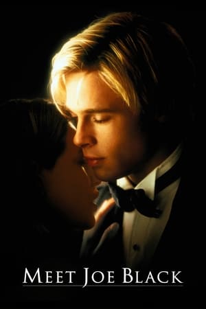 Meet Joe Black 1998 Dual Audio Hindi Full Movie - 1.3GB HD Poster Download - filmyfly