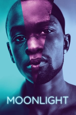 Moonlight (2016) Full Movie [] 800MB HD Poster Download - filmyfly
