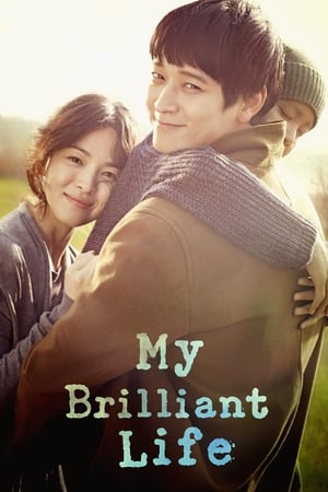 My Brilliant Life (2014) Hindi Dual Audio – 720p – HD Poster Download - filmyfly