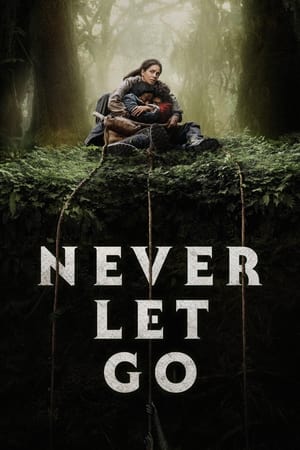 Never Let Go 2024 Hindi Dual Audio – 720p – HD Poster Download - filmyfly