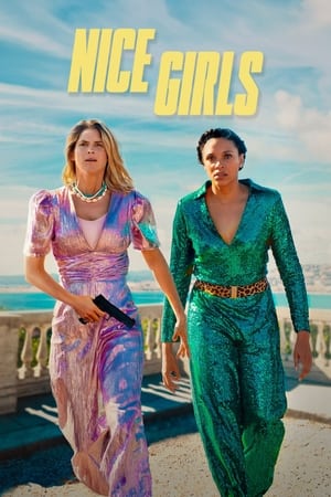 Nice Girls 2024 Hindi Dual Audio – 720p – HD Poster Download - filmyfly