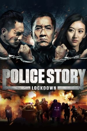 Police Story: Lockdown (2013) Hindi Dual Audio 380MB HD Poster Download - filmyfly