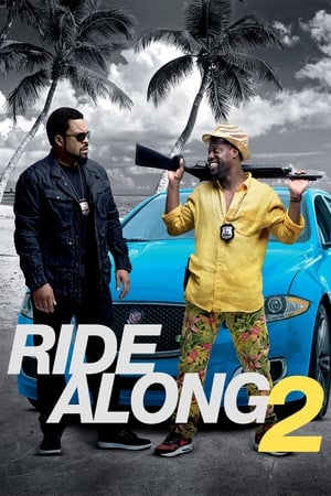 Ride Along 2 2016 Hindi Dual Audio 330MB HD Poster Download - filmyfly