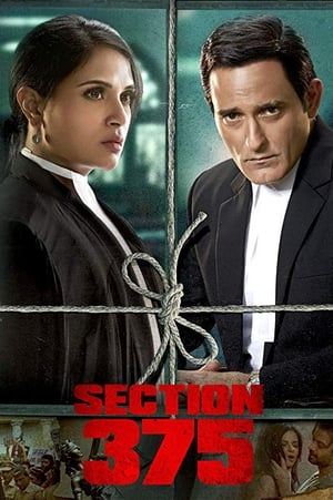 Section 375 (2019) Hindi Movie - [360MB]