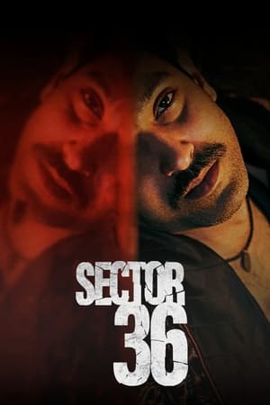 Sector 36 2024 Hindi – – HD Poster Download - filmyfly