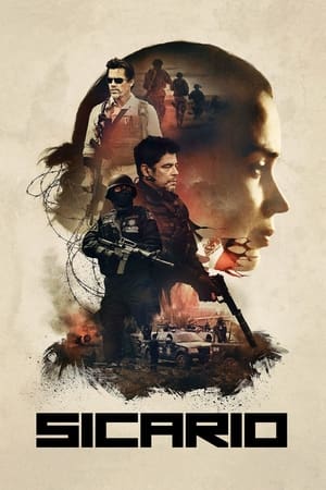 Sicario 2015 Hindi Dual Audio 350MB HD Poster Download - filmyfly