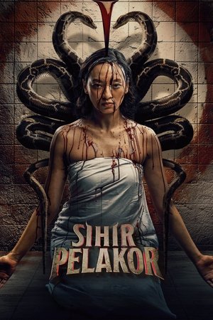 Sihir Pelakor (2025) Hindi (MULTI AUDIO) – – HD Poster Download - filmyfly
