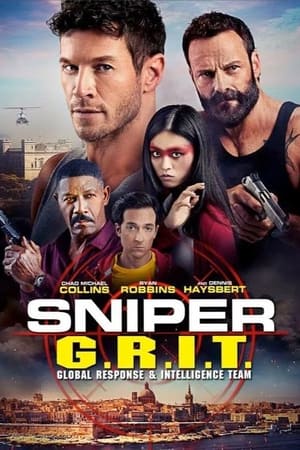 Sniper GRIT Global Response and Intelligence Team 2023 Hindi Dual Audio – HD Poster Download - filmyfly