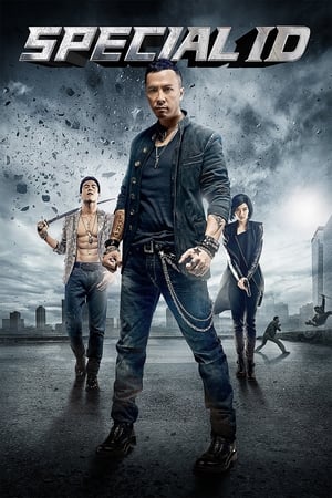 Special ID (2013) Hindi Dual Audio [1.3GB] ESubs