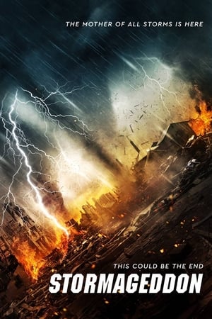 Stormageddon (2015) Hindi Dual Audio 290MB HD Poster Download - filmyfly