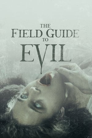 The Field Guide to Evil 2018 Hindi Dual Audio 350MB HD Poster Download - filmyfly