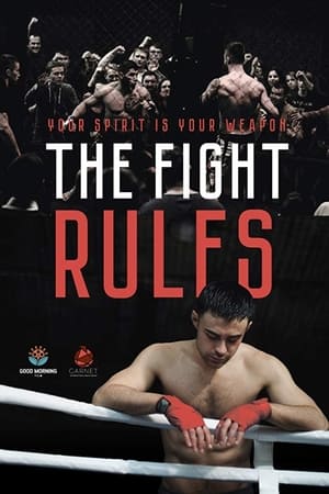 The Fight Rules 2017 Hindi Dual Audio [730MB] HD Poster Download - filmyfly