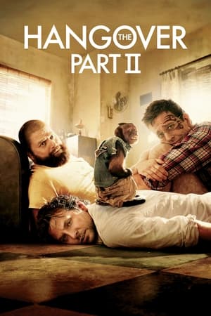 The Hangover Part II (2011) Hindi Dual Audio 300MB HD Poster Download - filmyfly