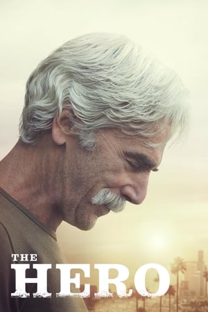 The Hero (2017) Hindi Movie - [300MB] HD Poster Download - filmyfly