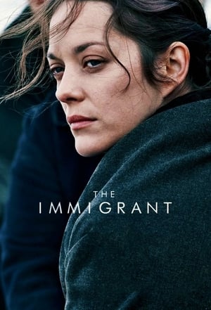 The Immigrant (2013) Hindi Dual Audio 300MB HD Poster Download - filmyfly