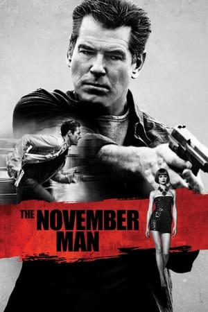 The November Man 2014 100mb Hindi Dual Audio movie Download HD Poster Download - filmyfly