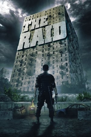 The Raid: Redemption (2011) Hindi Dual Audio 300MB ESubs