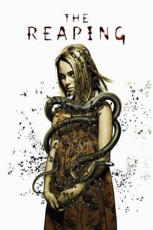 The Reaping (2007) Hindi Dual Audio [700MB] HD Poster Download - filmyfly